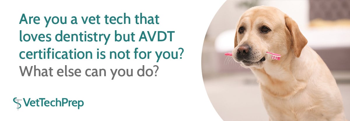 AVDT