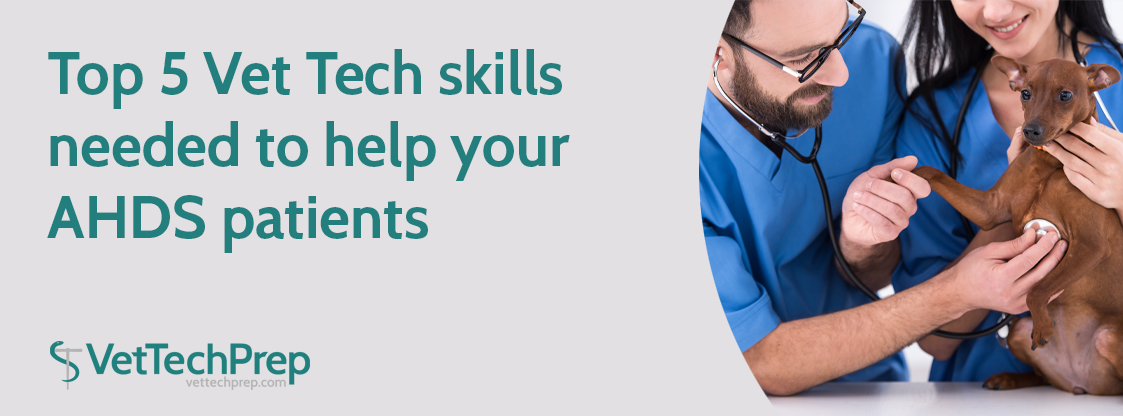 BlogHeader-Top-5-Vet-Tech-skills-needed-to-help-your-AHDS-patients
