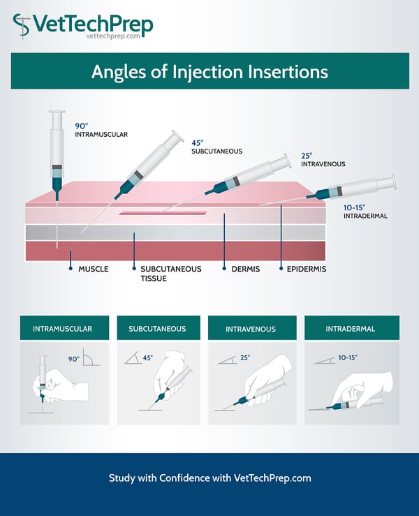 INJECTION-INSERTION
