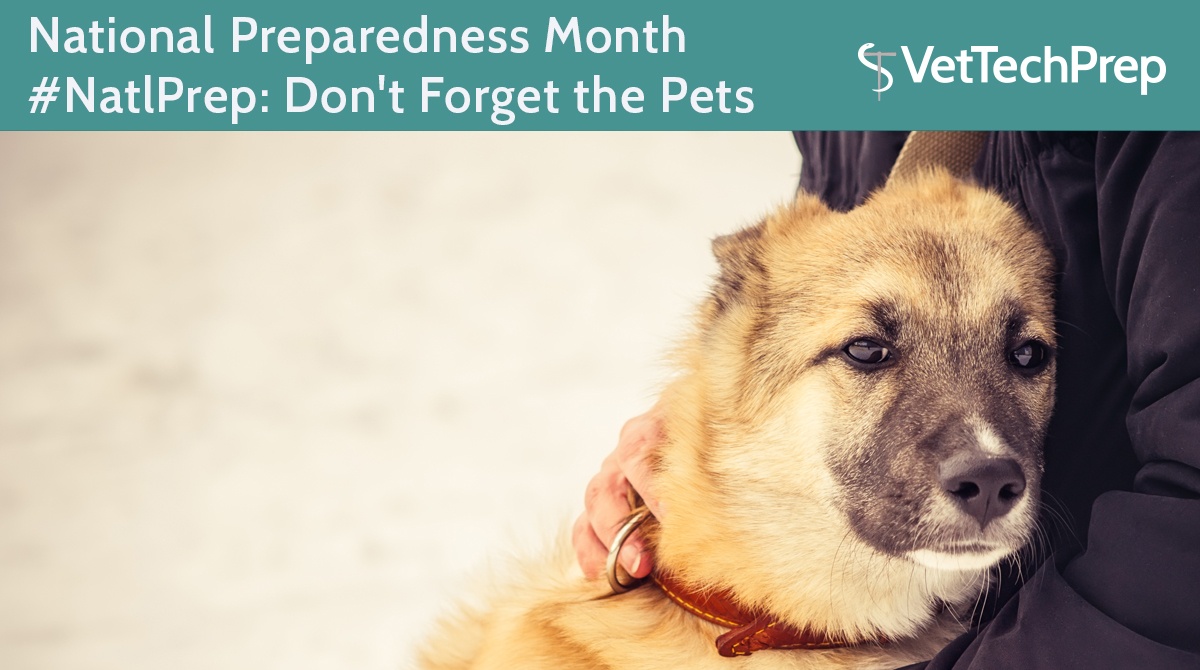 National-Preparedness-Month-#NatlPrep--Don't-Forget-the-Pets