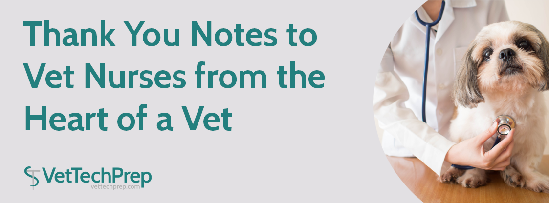 THANK-YOU-Notes-to-Vet-Nurses-from-the-Heart-of-a-Vet
