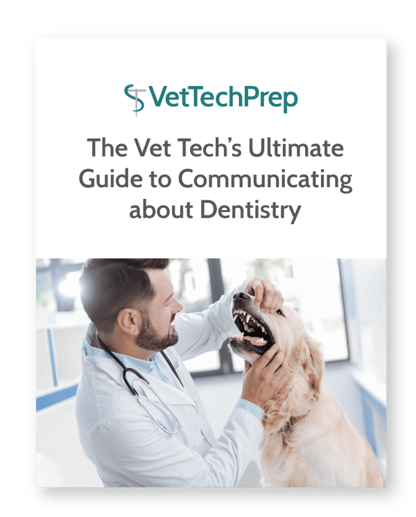 Download The Vet Tech's Ultimate Guide to Communicating about Dentistry